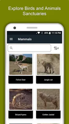 Jordan Travel & Explore, Offli android App screenshot 11