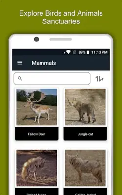 Jordan Travel & Explore, Offli android App screenshot 3